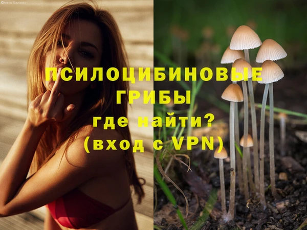 spice Медногорск