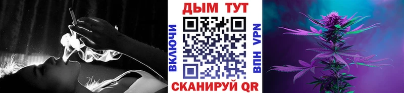 Конопля сатива  Орёл 
